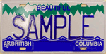 Undated Sample Persoanlized License Plate (2002 Base)